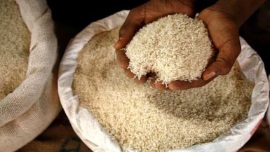 الأرز ؛ الأرز الشعير