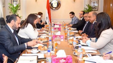الحكومة تبحث تحفيز المصريين بالخارج للاستثمار في شركات قطاع الأعمال