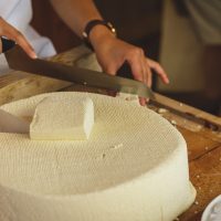 صناعة الأجبان ؛ منتجات الألبان