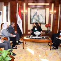 الحكومة تسعى للانتهاء من إنشاء شركة استثمارية للمصريين بالخارج خلال 2023